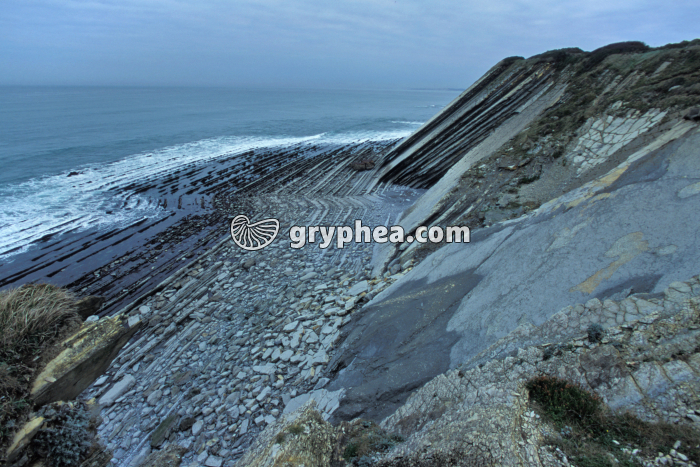 Roches sédimentaires plissées (flyschs) sur la corniche basque - gryphea.org